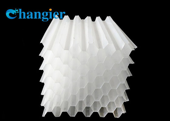 Médias inclinés de colon de tube du plat pp de lamelle de nid d'abeilles hexagonal
